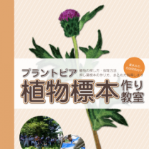 福井総合植物園プラントピア 植物標本づくり教室 イベント えちぜん観光ナビ