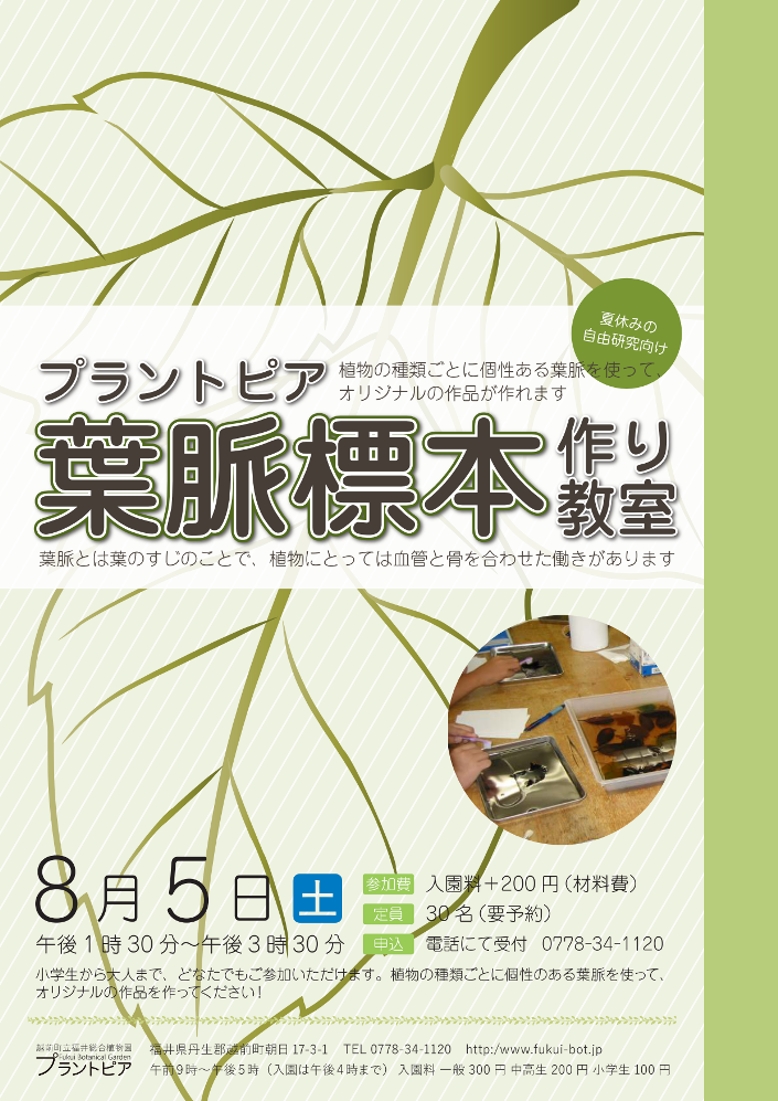 福井総合植物園プラントピア 葉脈標本づくり教室 イベント えちぜん観光ナビ