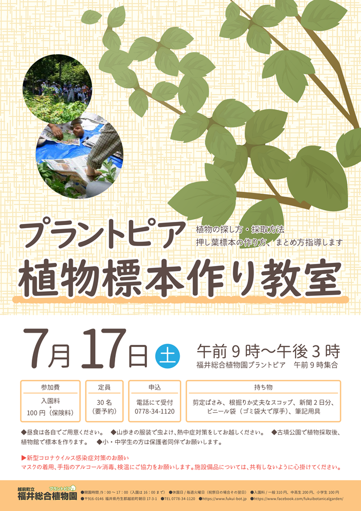 福井総合植物園プラントピア 植物標本作り教室 イベント えちぜん観光ナビ