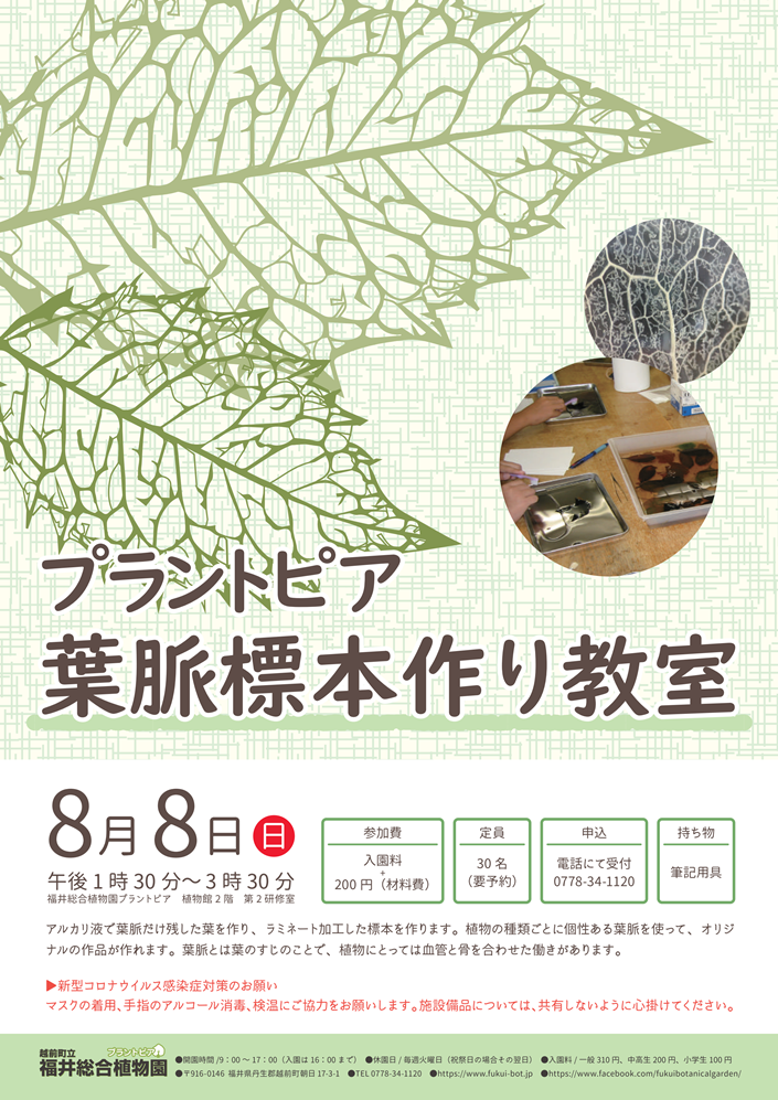 福井総合植物園プラントピア 葉脈標本作り教室 イベント えちぜん観光ナビ