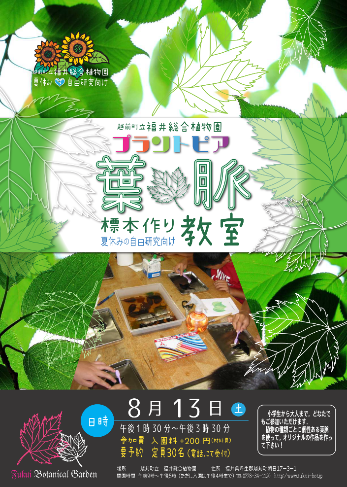 プラントピア 葉脈標本作り教室 イベント えちぜん観光ナビ