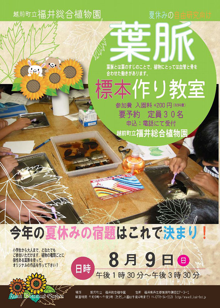 葉脈標本作り教室 福井総合植物園プラントピア イベント えちぜん観光ナビ