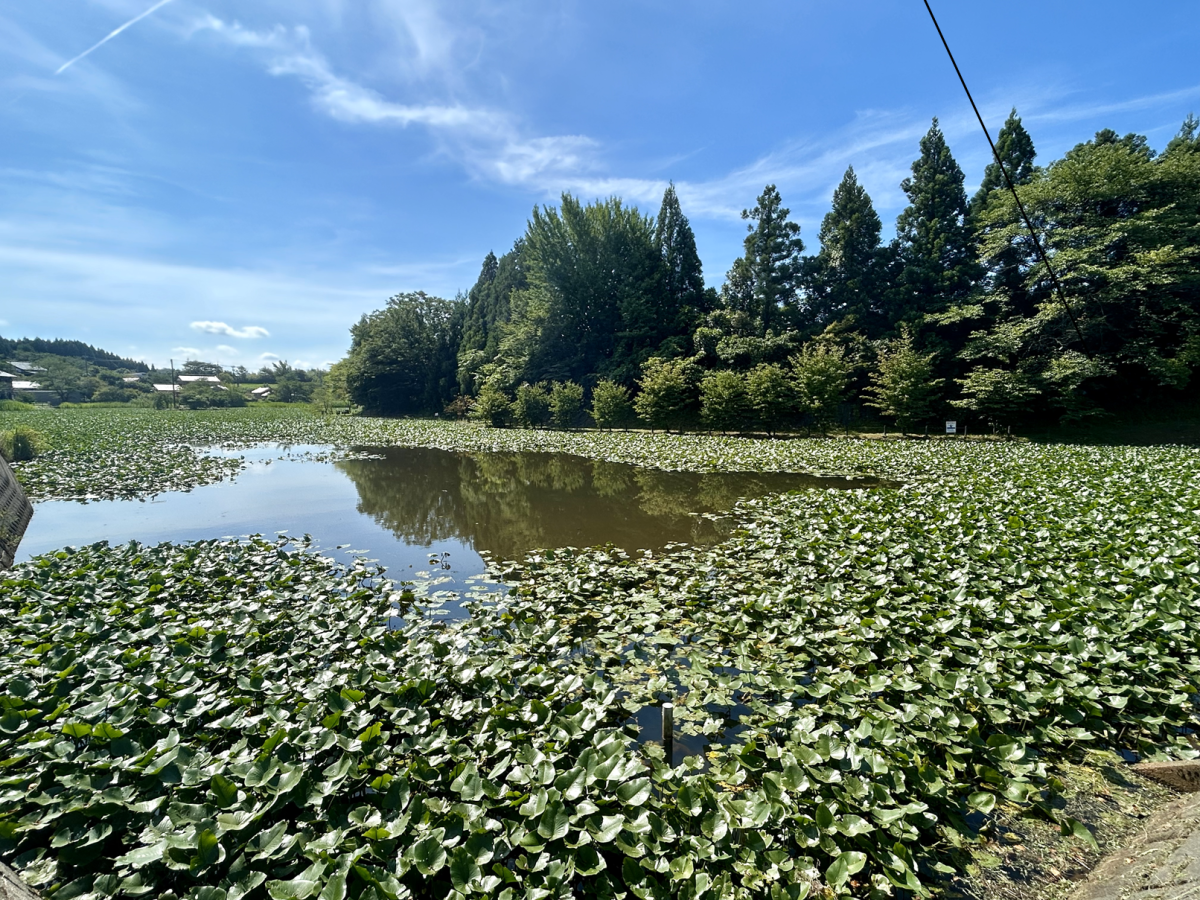 ため池